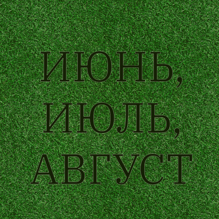 Ребусы «Июнь, июль, август»