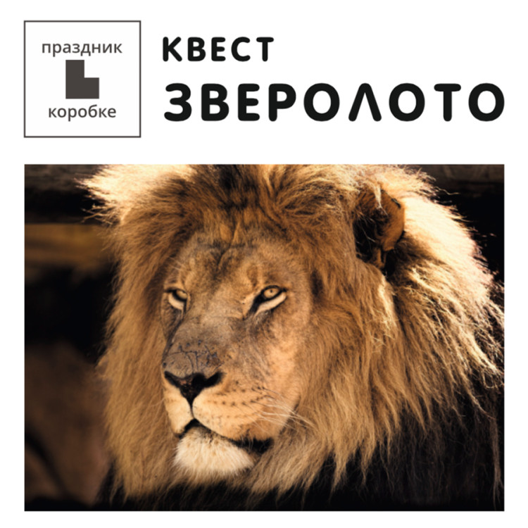 Квест «Зверолото»
