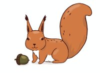 «Забывчивая белка» (10 первых квестов для детей 3-6 лет)