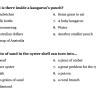 Тест-квест на английском языке  «Zoo quiz»
